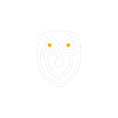 Caseoowl logo